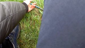 Ловля карпа в мае на пруду. Рыбалка для души