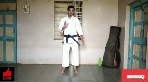 ## how to learn shotokan karate. ##