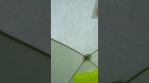 Палатка зимняя Куб3 Медведь