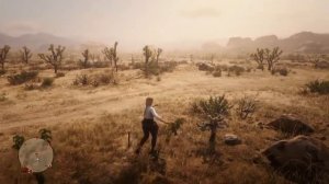 Чёрной смородины собрано:0/5🍑