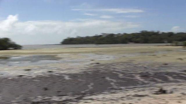 #Oktaner300 Kommunity Beach/so sieht unser kleiner lokaler Strand aus смотреть онлайн