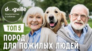 ТОП 5 Пород — для пенсионеров