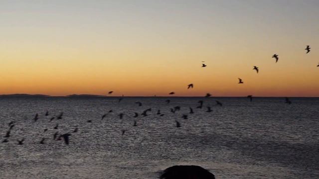 Dover Beach By Matthew Arnold