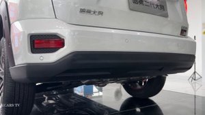 2023 HAVAL H-DOG - Visual Experience