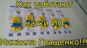 Как работают матки ИО от Михаила Гращенко.
