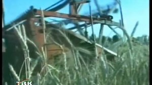 Бехтарин суруд дар бораи ватан, ватандуст боши гиря мекуни. БАЪД АЗ ХАЗОР СОЛ..