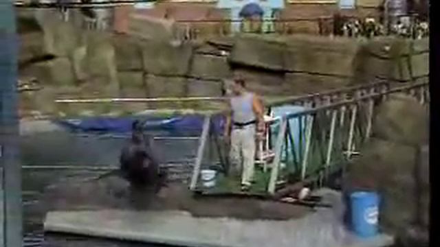 Московский зоопарк смотреть онлайн