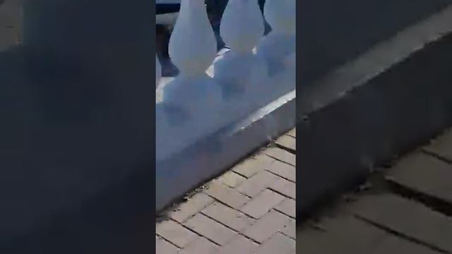 Власти не пускают владельцев катеров на территорию причала смотреть онлайн