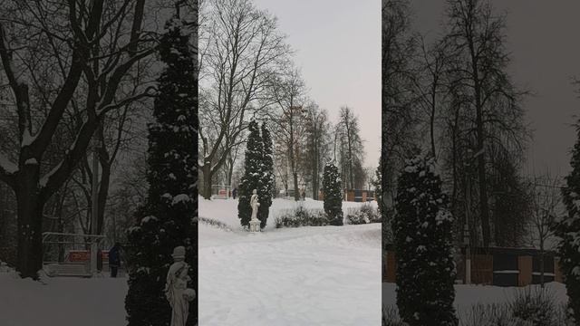 Заметает городской парк, Тверь. Sweeps the city park, Tver.  #тверь #зимавРоссии #прогулкипотвери