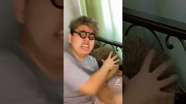 azabra3a Сборник❤❤❤ смотреть онлайн