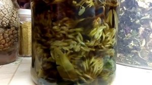 настойка на клевере