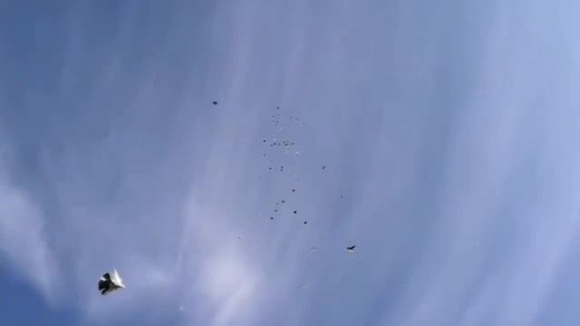 # ГОЛУБИ # ТРЕНИРОВКА. 24.10.2020.г. смотреть онлайн