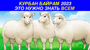 ВАЖНАЯ ИНФОРМАЦИЯ НА КУРБАН БАЙРАМ 2023! ЗУЛЬ ХИДЖА И ДЕНЬ АРАФА! КУРБАН БАЙРАМ НАЧАЛО И КОНЕЦ!