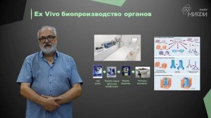 3D-биопринтинг: доцент ИФИБ НИЯУ МИФИ о перспективном направлении науки