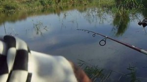 ловля щуки на китайские вертушки