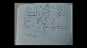 Решение задач по генетике 9 класс БИОЛОГИЯ (увеличьте громкость, звук тихий сори)