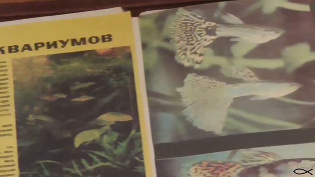 Рыбоводство и рыболовство - По страницам аквариумной периодики