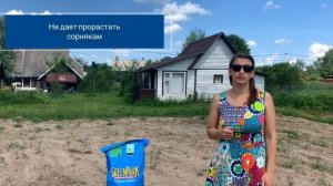 Как самому на 10 сотках посеить газон? Отзыв клиента. Семена для газона Баренбруг