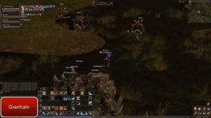 Lineage 2 Classic как водить парики Дестром