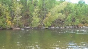 Рыбалка на реках Тывы .._---2022 год. ///