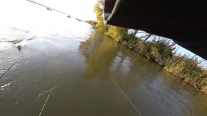 Рыбалка на Волге, осень 2021. Мумра. Рыболовные приключения. Попали на рыбу. Судак, сазан и жерех