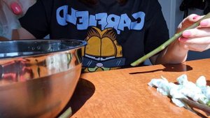 Укоренение розы из букета.  Черенкование роз