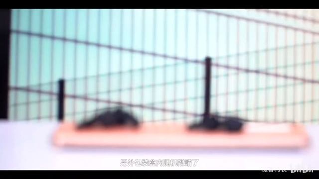 华为HUAWEI FreeLace Pro首发体验 смотреть онлайн