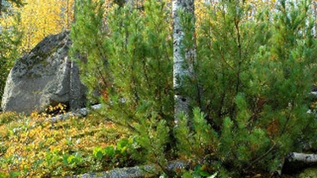 1. Блаженны нищие духом, ибо их есть Царство Небесное смотреть онлайн