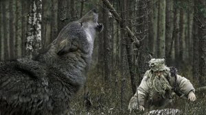 Березинский заповедник. Мифы на болоте. Berezinsky Reserve. Myths in the swamp