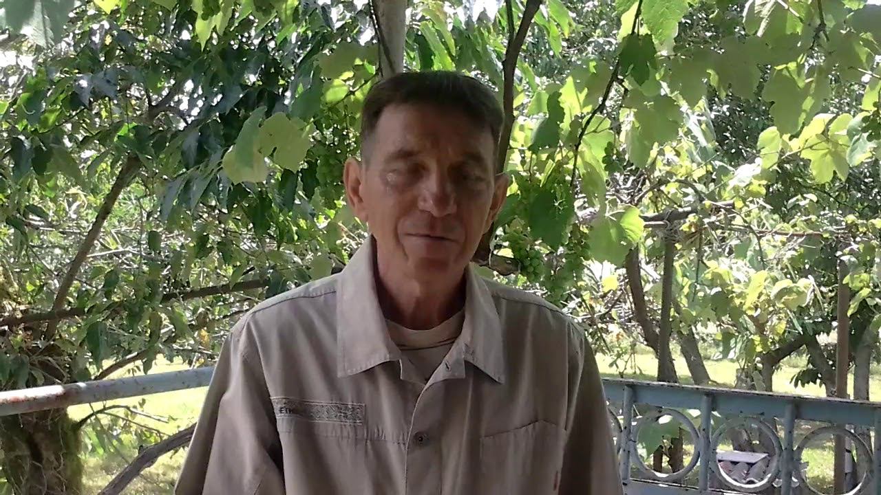 Миф о необходимости много пить воды каждому человеку.