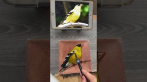 How to paint a Goldfinch in oil