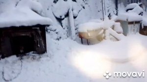 жизнь пенсионерки в Сибири! Метель❄⚡, снег и зима!