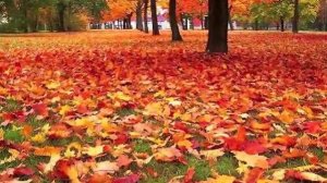 Autumn leaves Natalie Cole