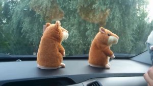 ПРИКОЛЬНЫЕ ХОМЯКИ-ПОВТОРЮШКИ.ПОЛНЫЙ РЖАЧ