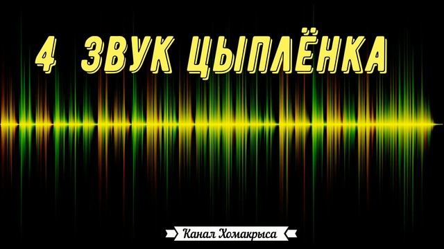 Любимые звуки для кошек котов и собак Звуки для котов и кошек Звуки для собак Бесячие звуки для кот смотреть онлайн