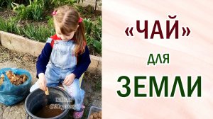 Чайные пакетики для земли. Улучшаем структуру почвы. Всё в дело. #огородныеработы