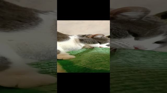 1000005757.mp4