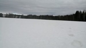 Ямаха вентура тф встаёт на дыбы!