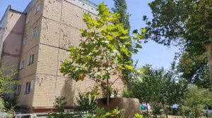 Узбекистан посёлок городского типа Нуробад первые дома 17 июля 2023 г.