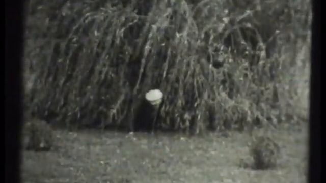 Закат солнца вручную смотреть онлайн