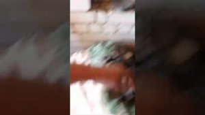 Хонда Голдвинг 1500 (Голда), датчики температуры.