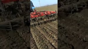 Культиватор КСП-4,5 на S-образных стойках в работе / видео от клиента.