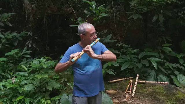 Bansuri - F# - 440 Hz (BF#440202001001) смотреть онлайн