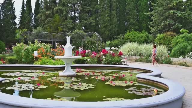 Крым, Никитский ботанический сад 23.06.2017.mp4 смотреть онлайн