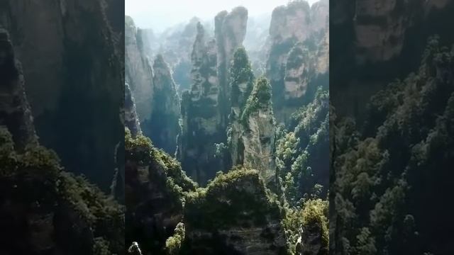 Парк Аватара China