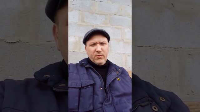 КАК ВЫБРАТЬ ЩЕНКА, СРЕДНЕАЗИАТСКОЙ ОВЧАРКИ. смотреть онлайн