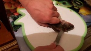 Как снять шкуру с окуня
