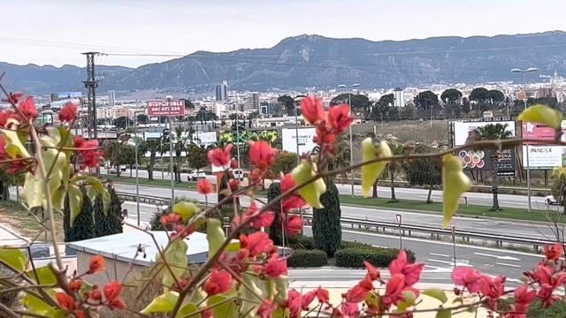 Испания сколько стоит жизнь в Испании цены (2023) смотреть онлайн