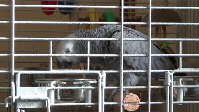 Жако Варюша смотреть онлайн