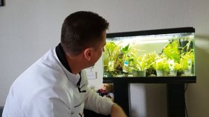 Потёк аквариум. Что будем делать?